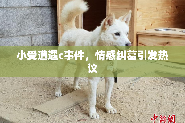 小受遭遇c事件，情感纠葛引发热议