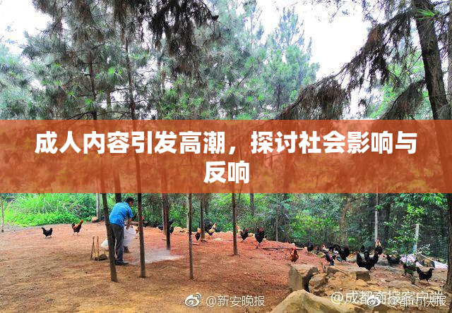 成人内容引发高潮，探讨社会影响与反响