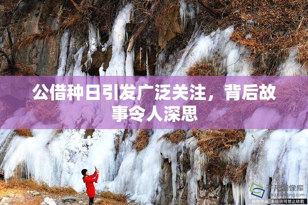 公借种日引发广泛关注，背后故事令人深思