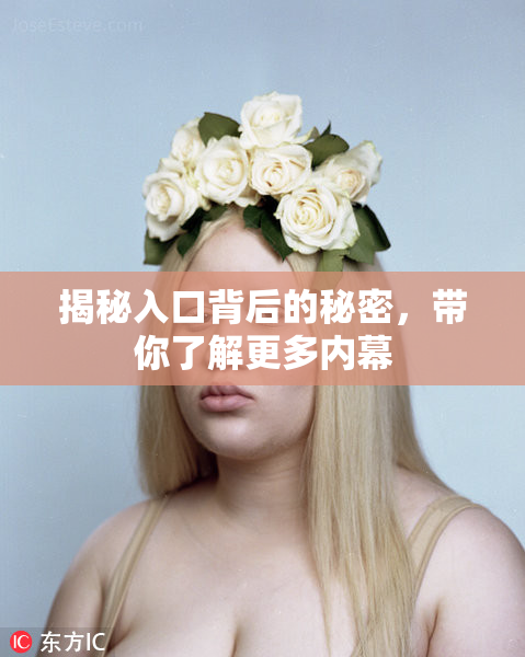 揭秘入口背后的秘密，带你了解更多内幕
