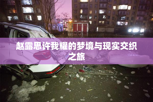 赵露思许我耀的梦境与现实交织之旅
