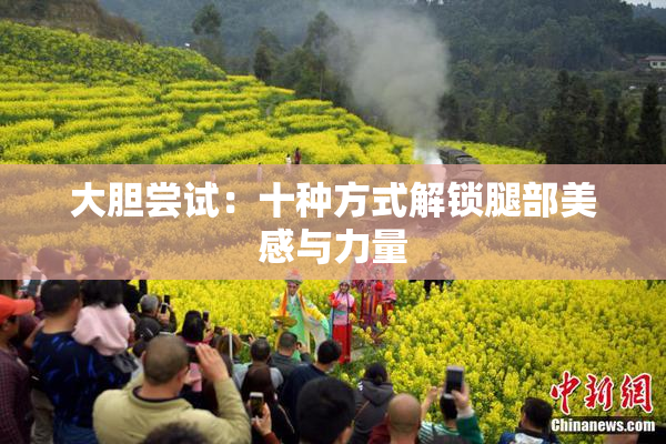 大胆尝试：十种方式解锁腿部美感与力量