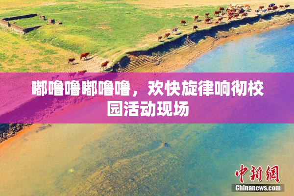 嘟噜噜嘟噜噜，欢快旋律响彻校园活动现场