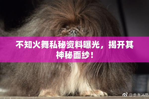 不知火舞私秘资料曝光，揭开其神秘面纱！