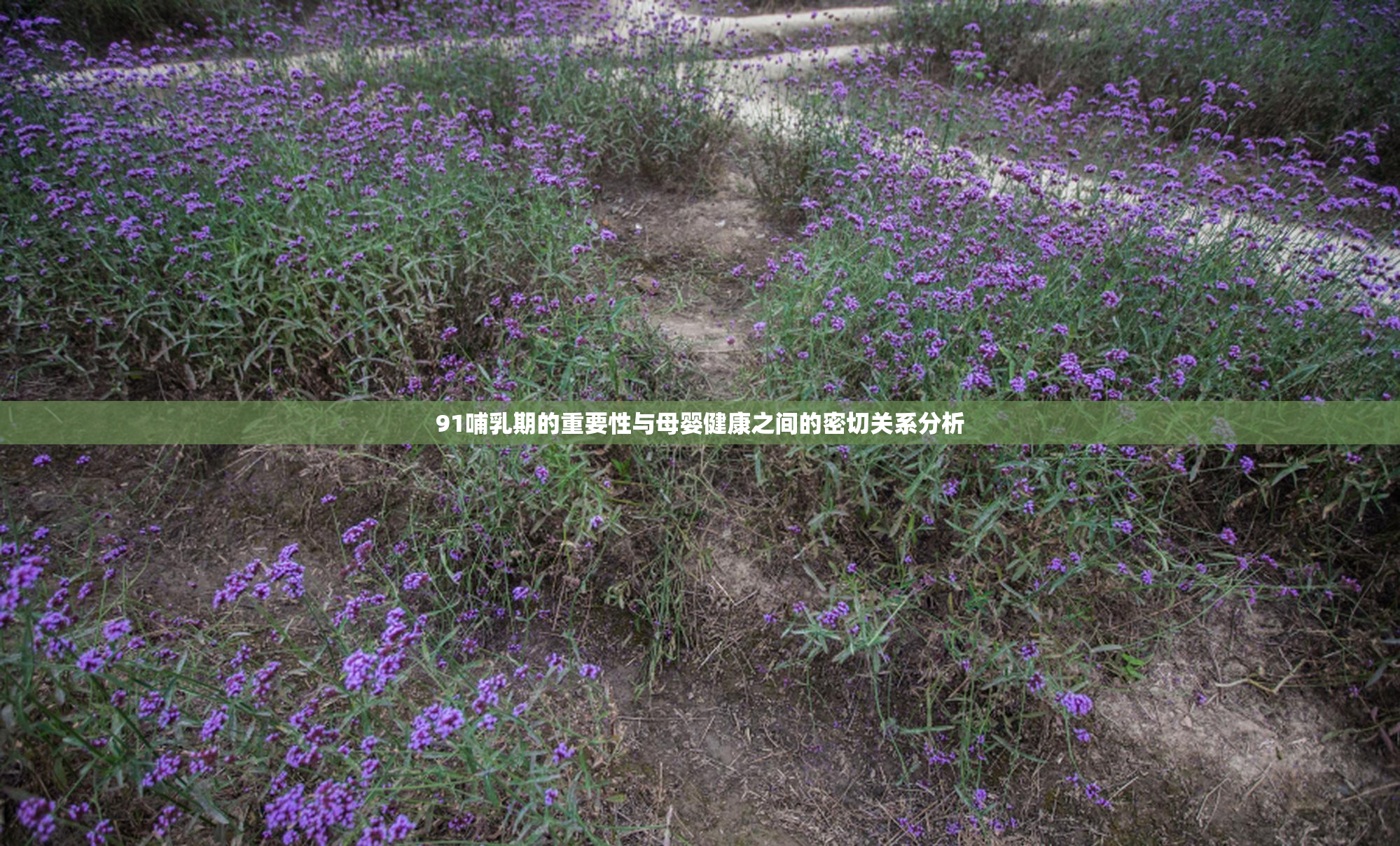 91哺乳期的重要性与母婴健康之间的密切关系分析