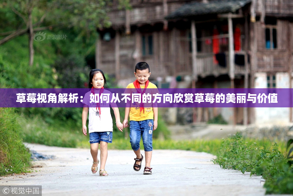 草莓视角解析：如何从不同的方向欣赏草莓的美丽与价值