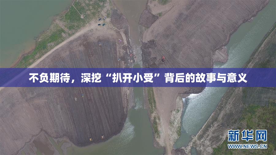 不负期待，深挖“扒开小受”背后的故事与意义