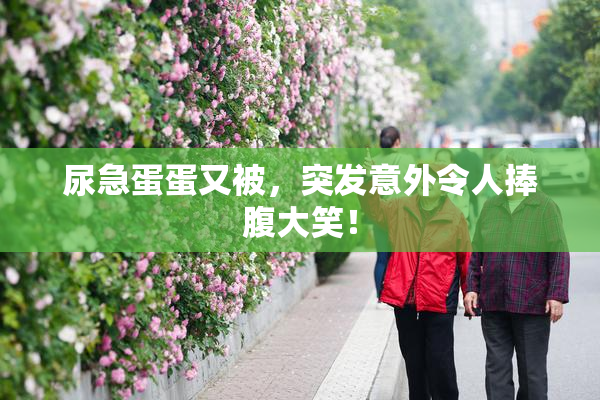 尿急蛋蛋又被，突发意外令人捧腹大笑！