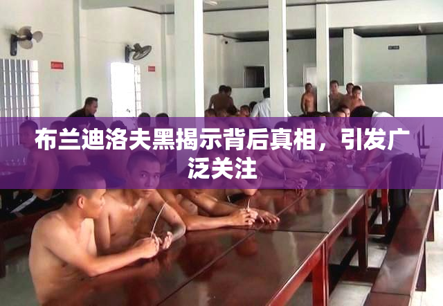 布兰迪洛夫黑揭示背后真相，引发广泛关注