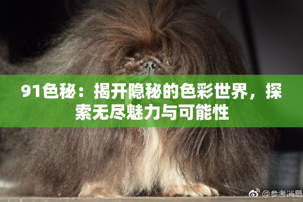 91色秘：揭开隐秘的色彩世界，探索无尽魅力与可能性