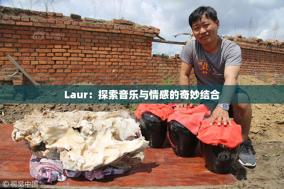 Laur：探索音乐与情感的奇妙结合