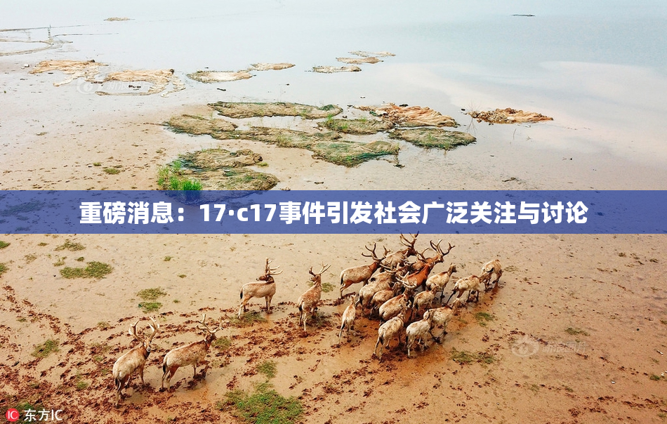重磅消息：17·c17事件引发社会广泛关注与讨论