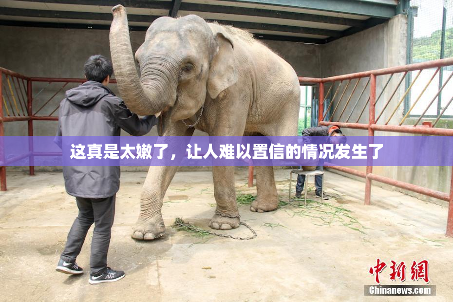 这真是太嫩了，让人难以置信的情况发生了