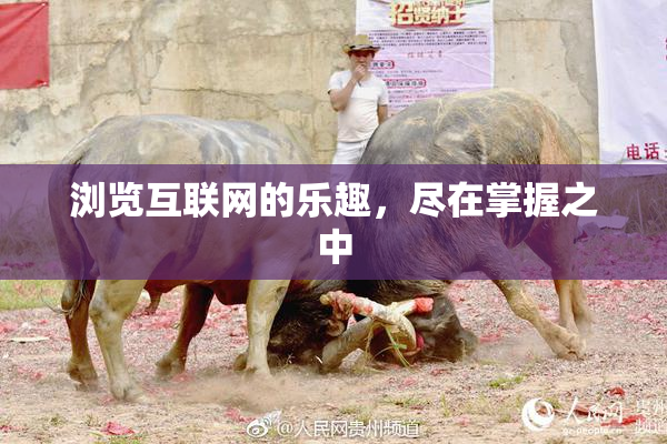 浏览互联网的乐趣，尽在掌握之中