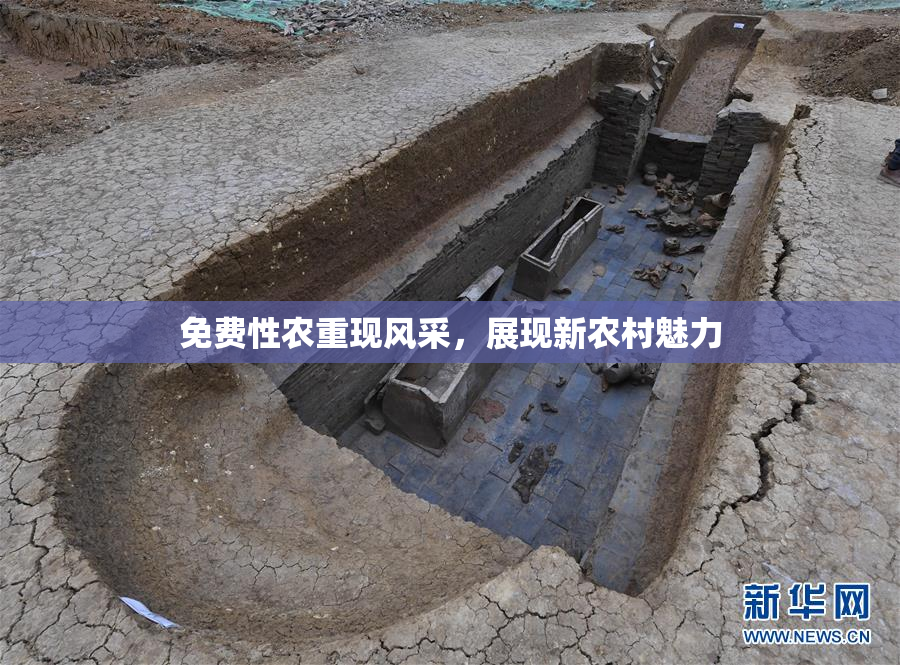 免费性农重现风采，展现新农村魅力