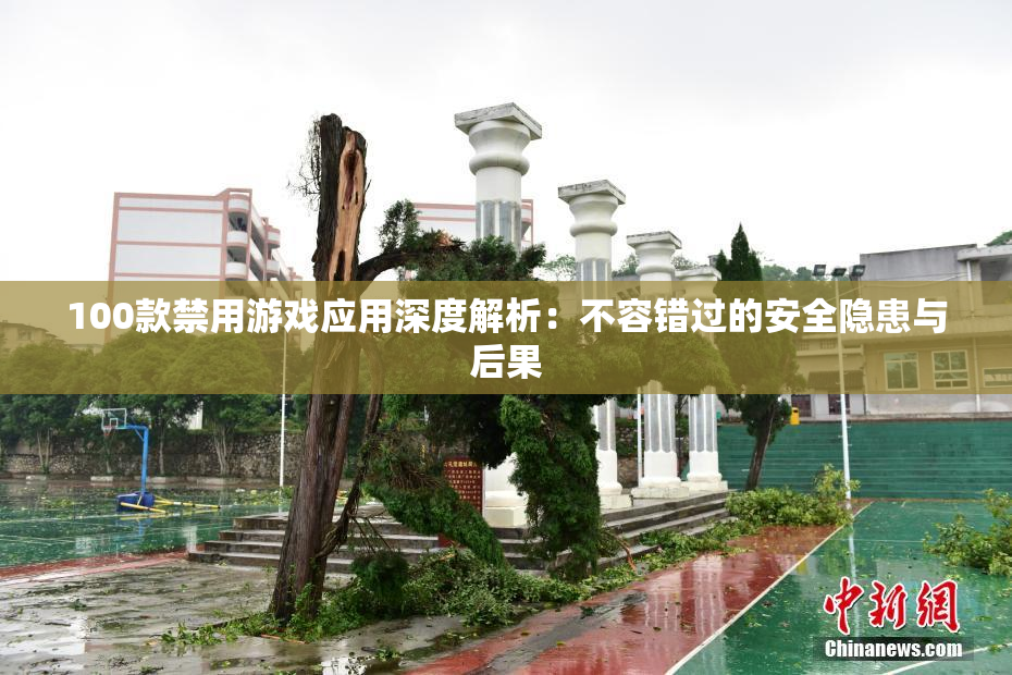 100款禁用游戏应用深度解析：不容错过的安全隐患与后果