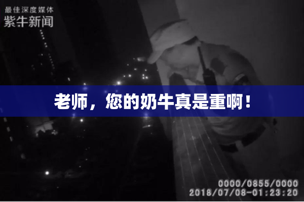 老师，您的奶牛真是重啊！