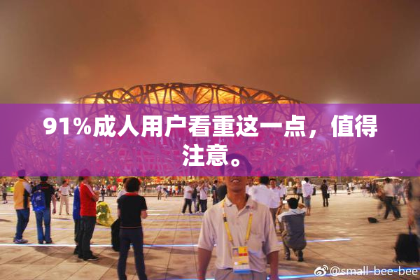 91%成人用户看重这一点，值得注意。