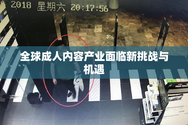 全球成人内容产业面临新挑战与机遇