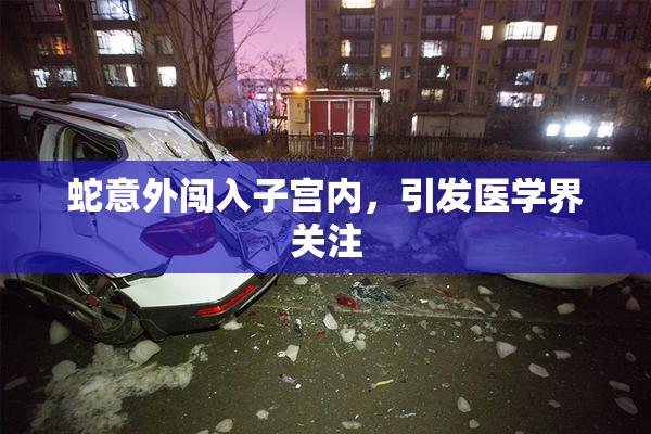 蛇意外闯入子宫内，引发医学界关注
