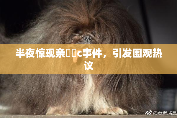 半夜惊现亲妺妺c事件，引发围观热议