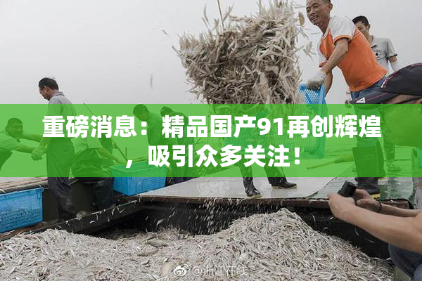 重磅消息：精品国产91再创辉煌，吸引众多关注！