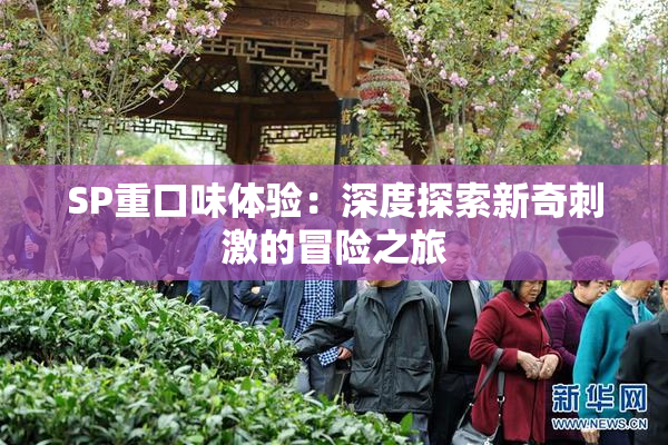 SP重口味体验：深度探索新奇刺激的冒险之旅