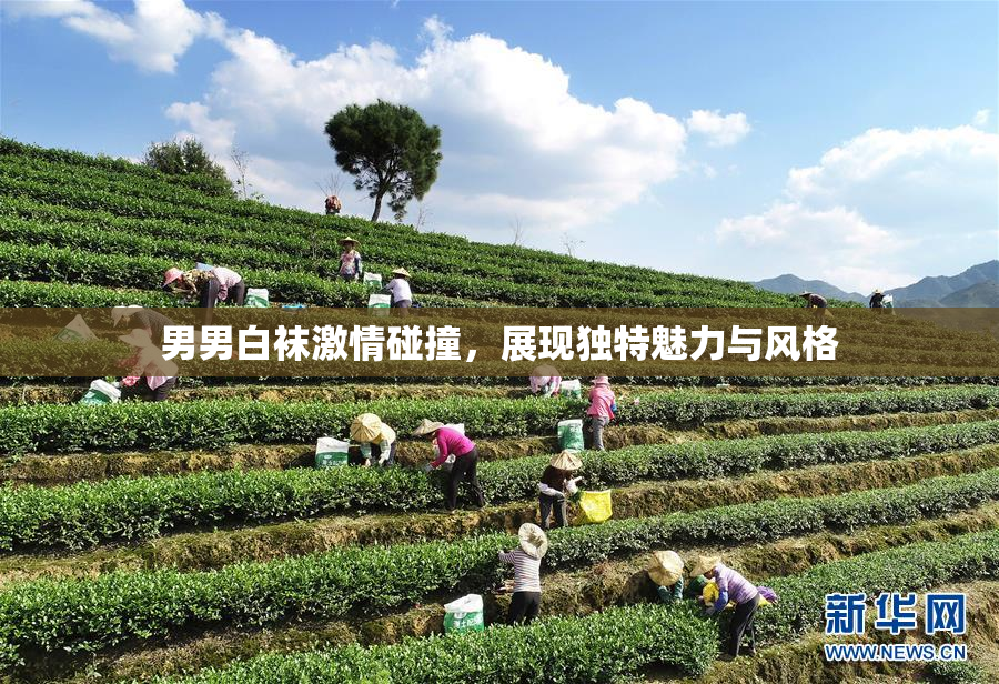 男男白袜激情碰撞，展现独特魅力与风格