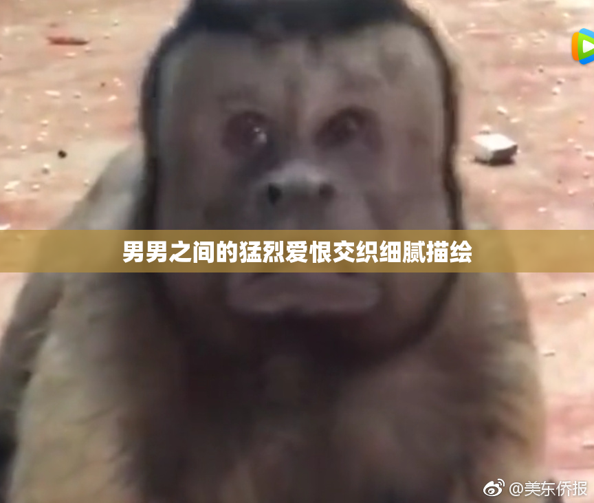 男男之间的猛烈爱恨交织细腻描绘