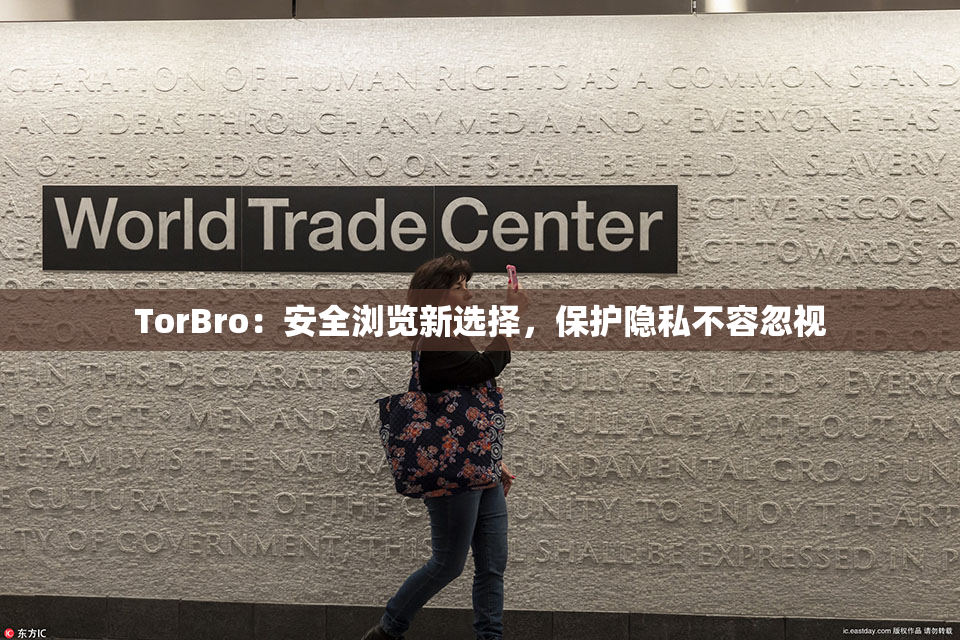 TorBro：安全浏览新选择，保护隐私不容忽视