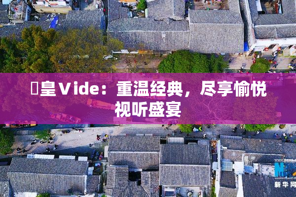 嘼皇Ⅴide：重温经典，尽享愉悦视听盛宴