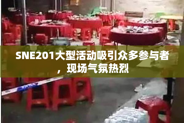 SNE201大型活动吸引众多参与者，现场气氛热烈