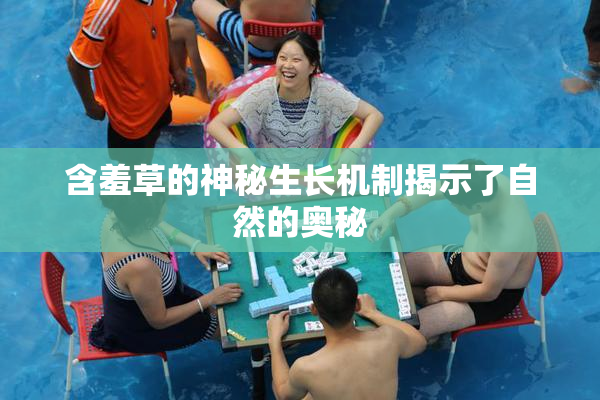含羞草的神秘生长机制揭示了自然的奥秘