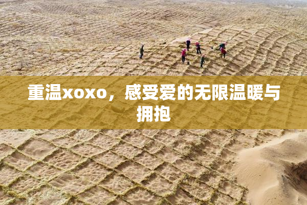 重温xoxo，感受爱的无限温暖与拥抱
