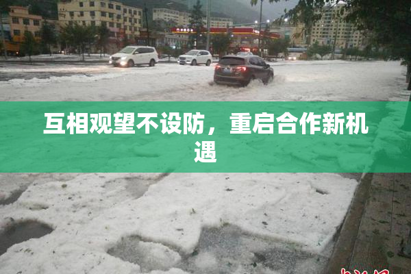 互相观望不设防，重启合作新机遇