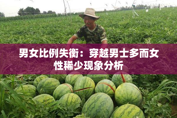 男女比例失衡：穿越男士多而女性稀少现象分析