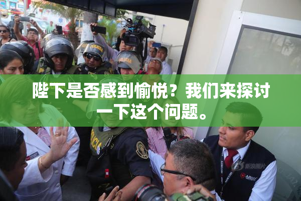 陛下是否感到愉悦？我们来探讨一下这个问题。