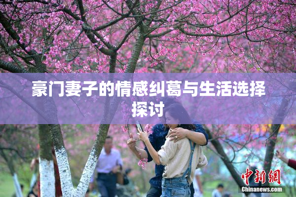 豪门妻子的情感纠葛与生活选择探讨