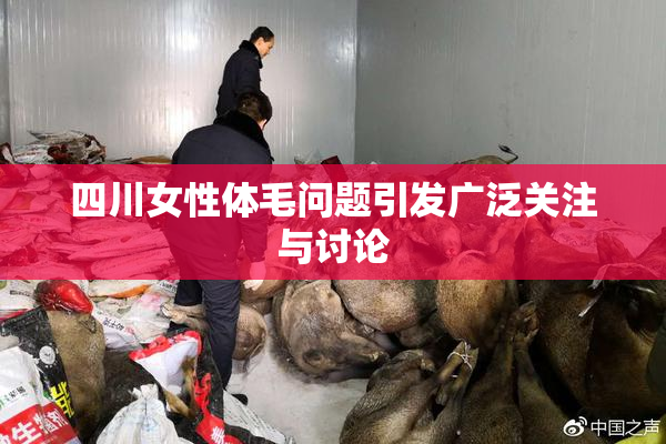 四川女性体毛问题引发广泛关注与讨论