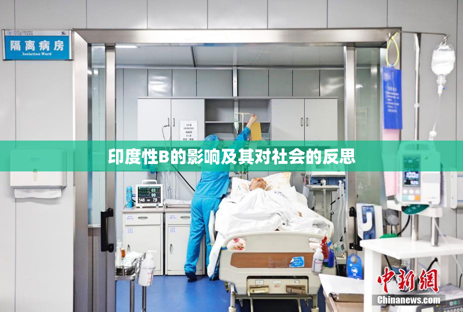 印度性B的影响及其对社会的反思