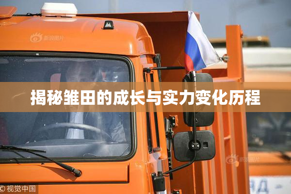 揭秘雏田的成长与实力变化历程