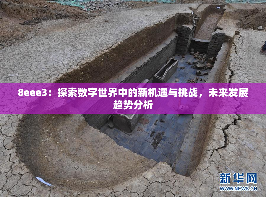 8eee3：探索数字世界中的新机遇与挑战，未来发展趋势分析