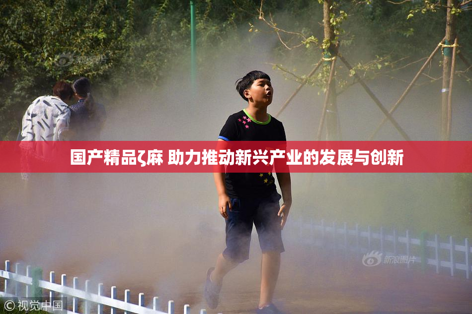 国产精品ζ麻 助力推动新兴产业的发展与创新