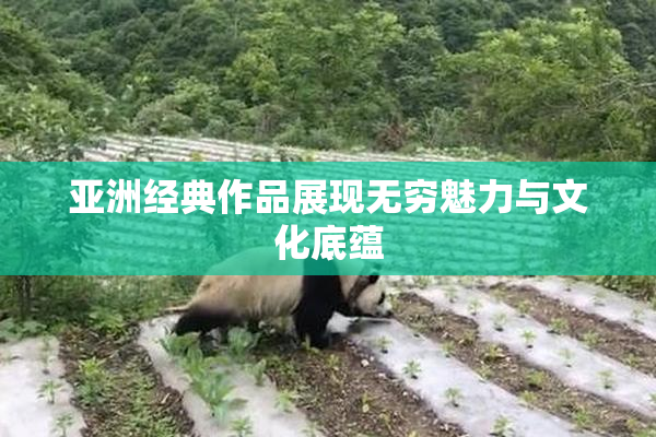 亚洲经典作品展现无穷魅力与文化底蕴