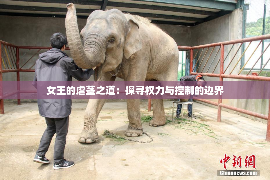 女王的虐茎之道：探寻权力与控制的边界