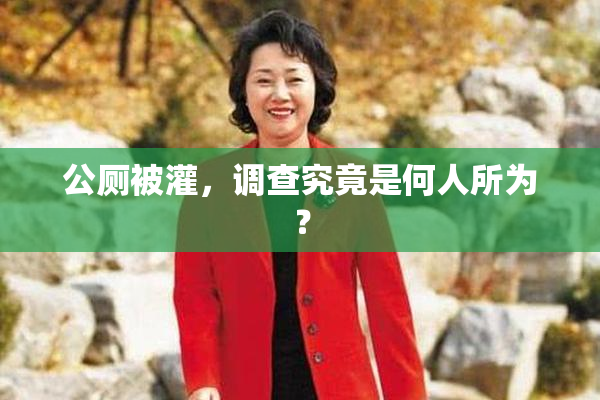 公厕被灌，调查究竟是何人所为？