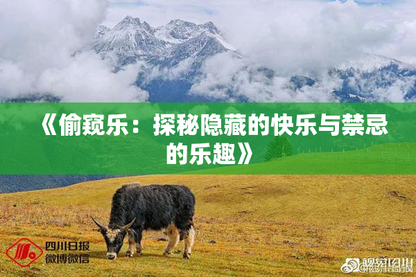 《偷窥乐：探秘隐藏的快乐与禁忌的乐趣》