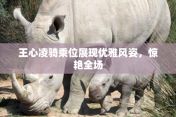 王心凌骑乘位展现优雅风姿，惊艳全场