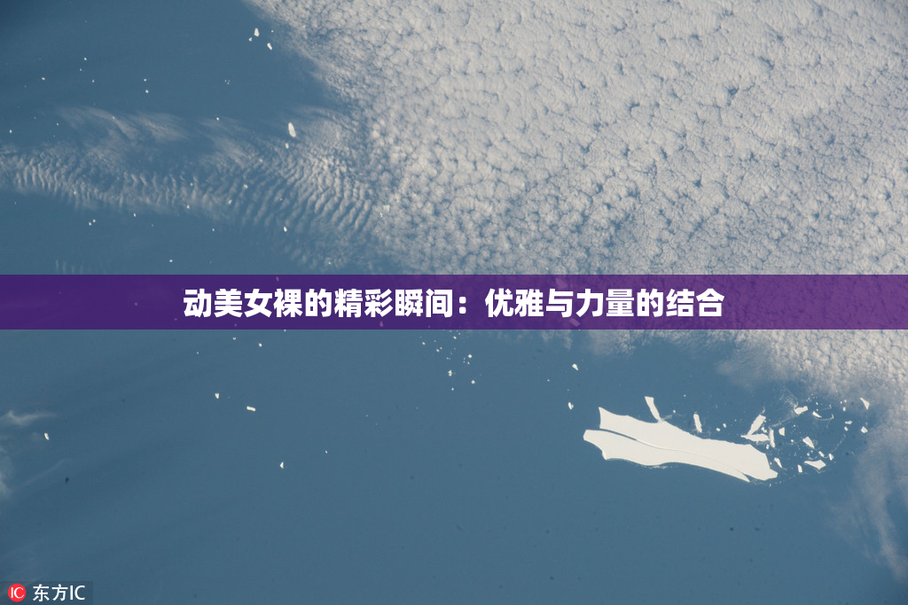动美女裸的精彩瞬间：优雅与力量的结合