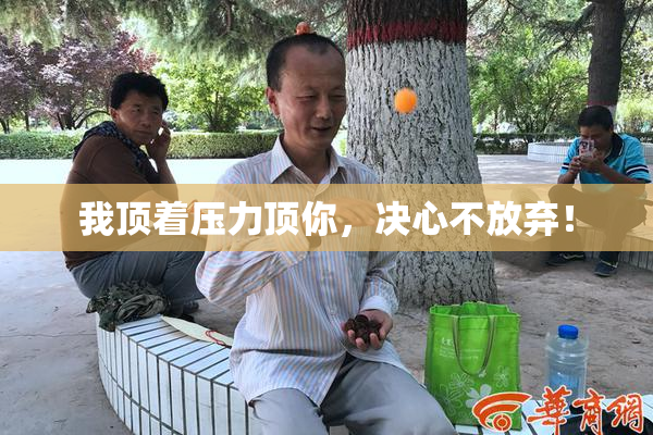 我顶着压力顶你，决心不放弃！